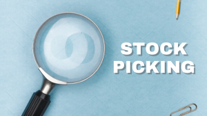 Read more about the article Why Stock Picking For Quality Stocks Is Important To Enhance Your Investment Returns