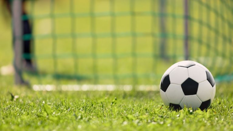 Read more about the article What Do Most Retail Investors Look Like in Football Terms